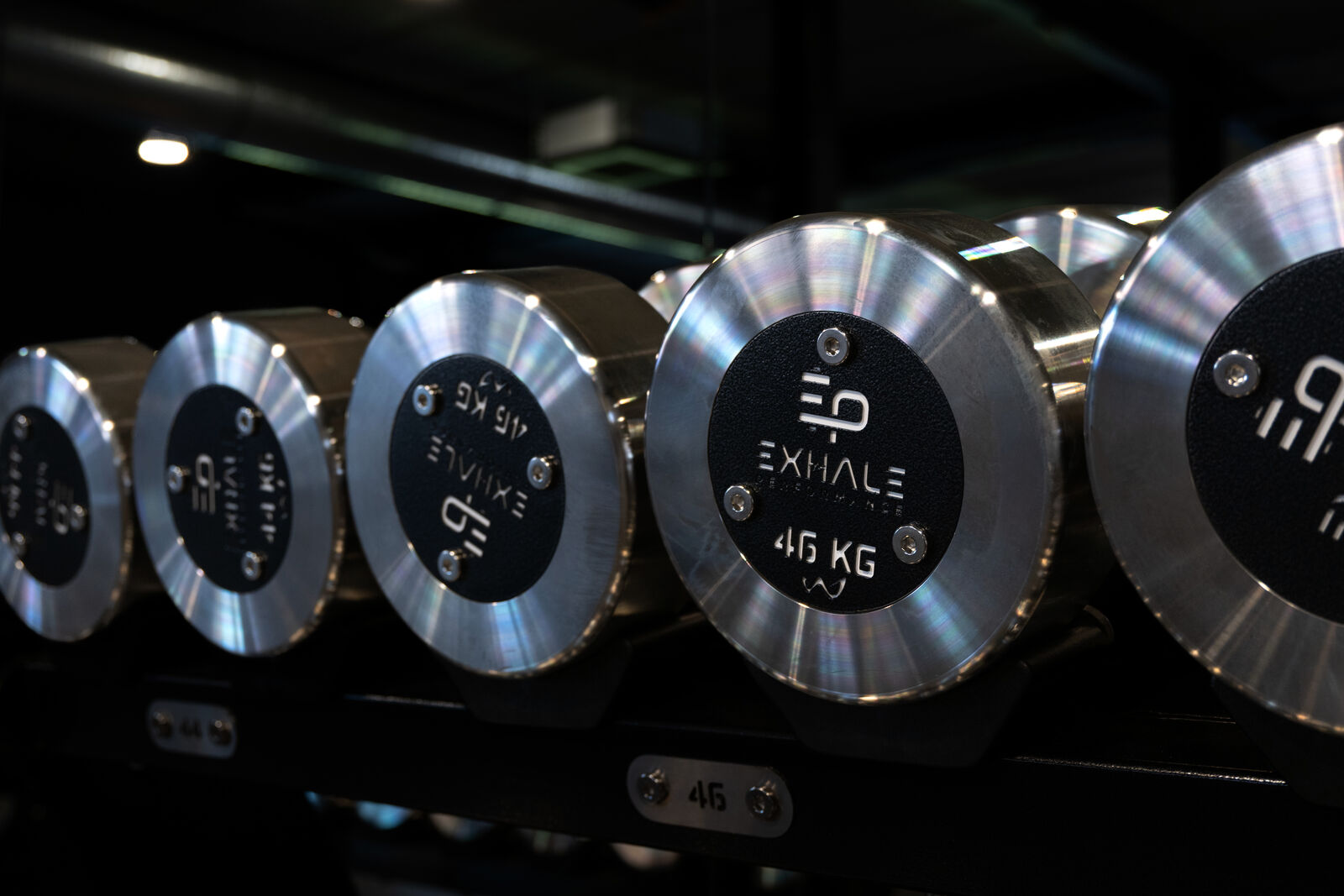Close-up of the dumbbells with the Exhale logo