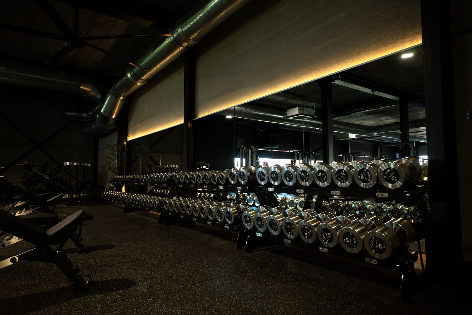 Dumbbell rack with weights up to 70 kilos