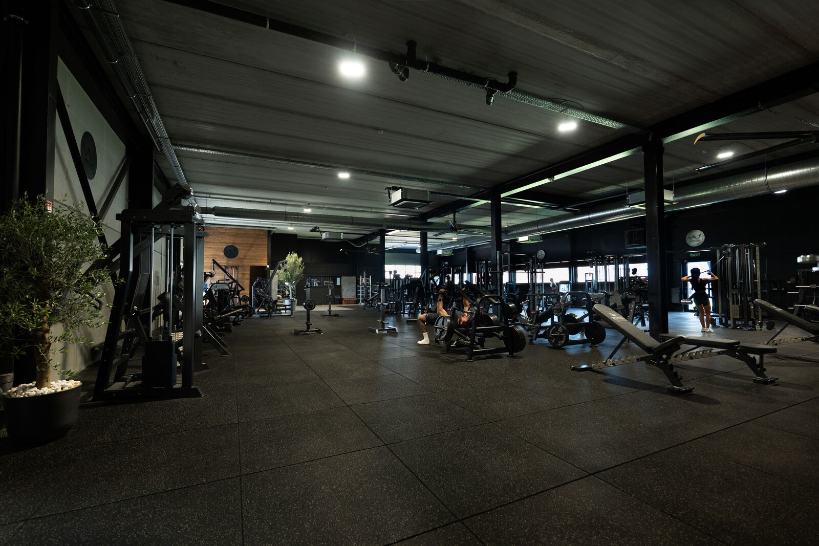 The strength zone along its full length